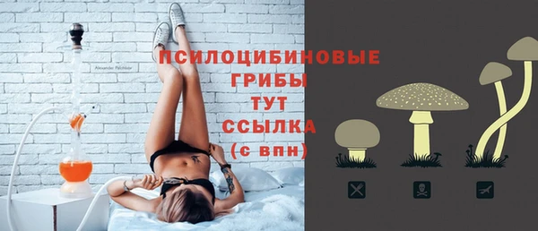 тгк Белокуриха