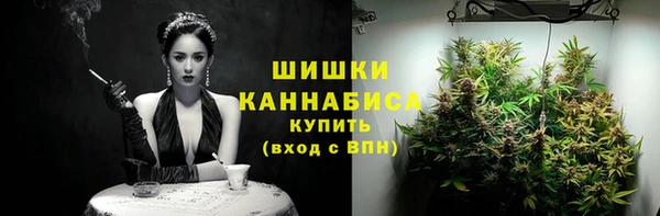 молекула духа Белоозёрский