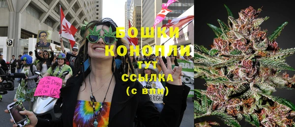 молекула духа Белоозёрский