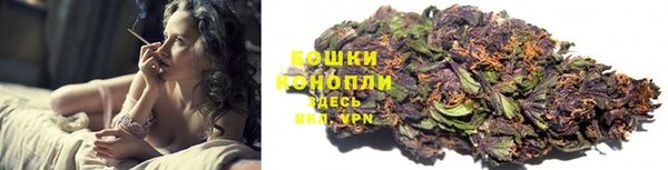 тгк Белокуриха
