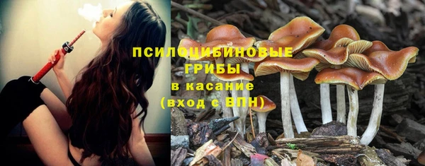 молекула духа Белоозёрский