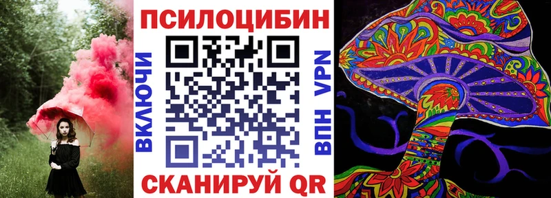 Псилоцибиновые грибы Psilocybe  дарнет шоп  Михайлов 
